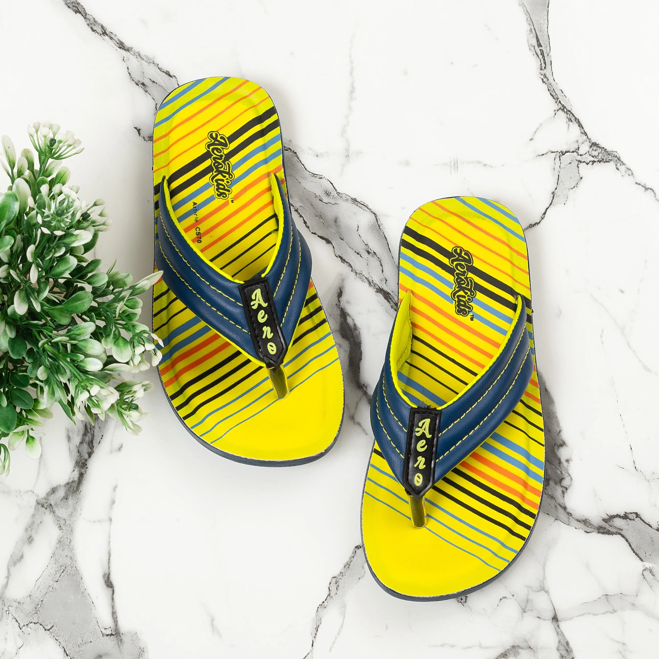 Aerokids Boys Navy Blue V Shape Lightweight Sandal with Printed Insole (CS70_N.BLUE)