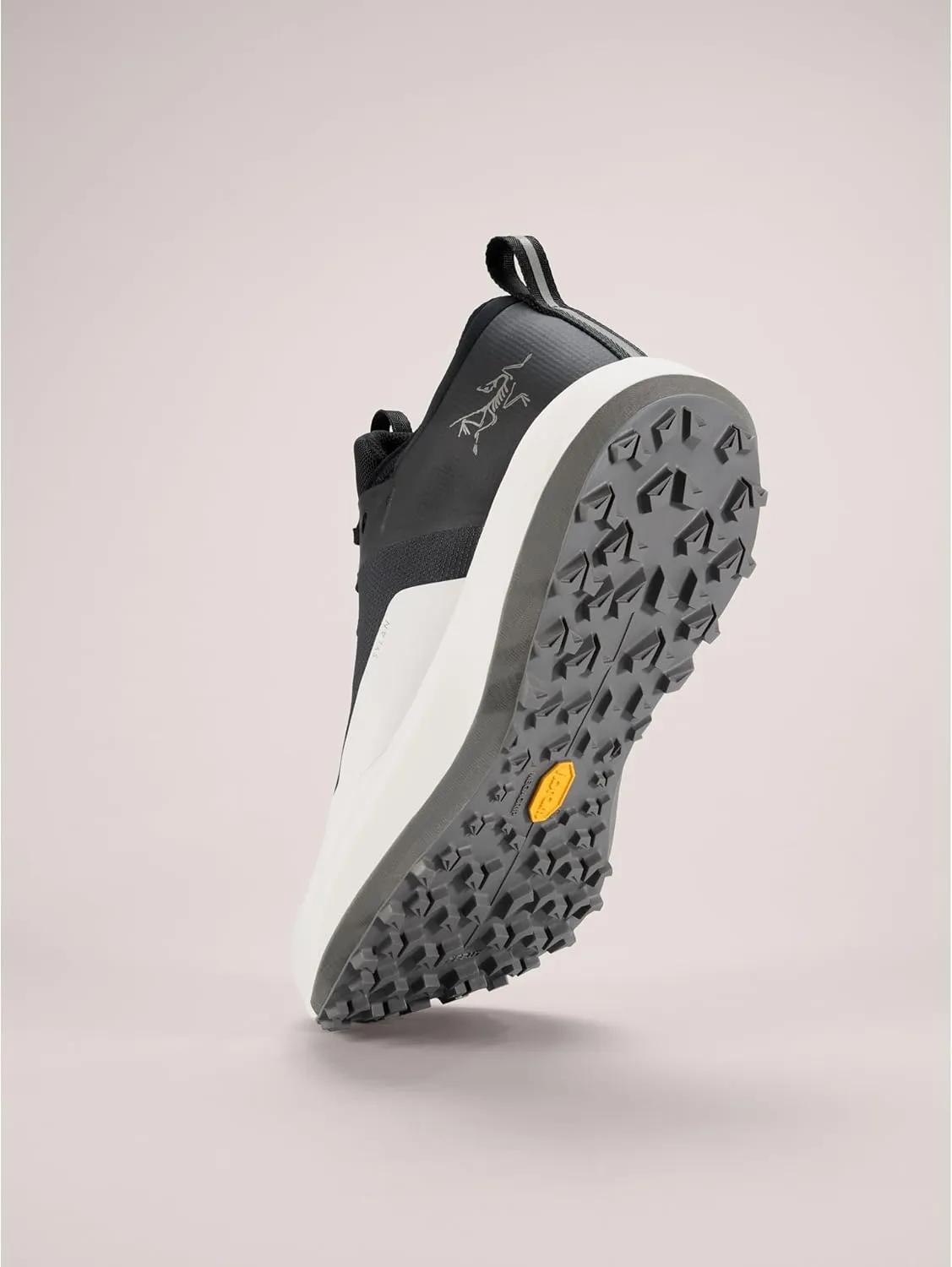 Arc'teryx Sylan GTX Shoe Men's | Gore-Tex Mountain Running Shoe Built for Speed