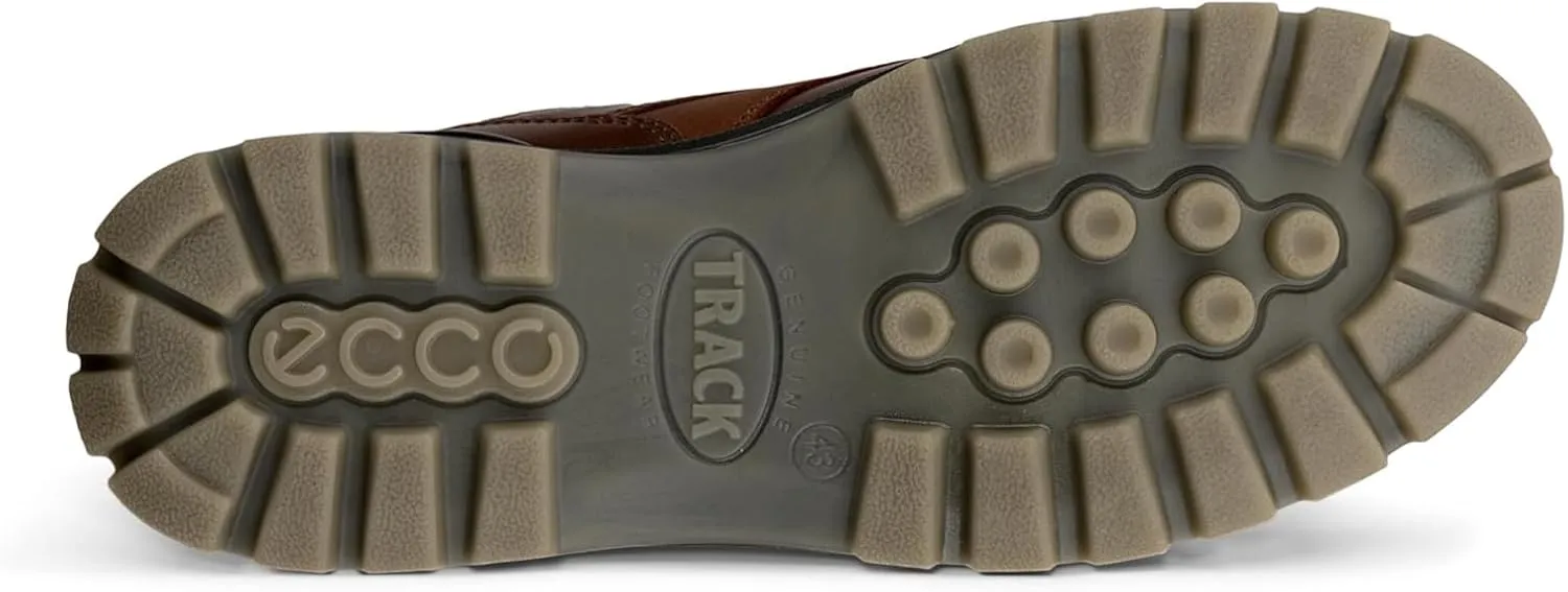 ECCO Men's Track 25 Low Gore-tex Waterproof Hiking Shoe