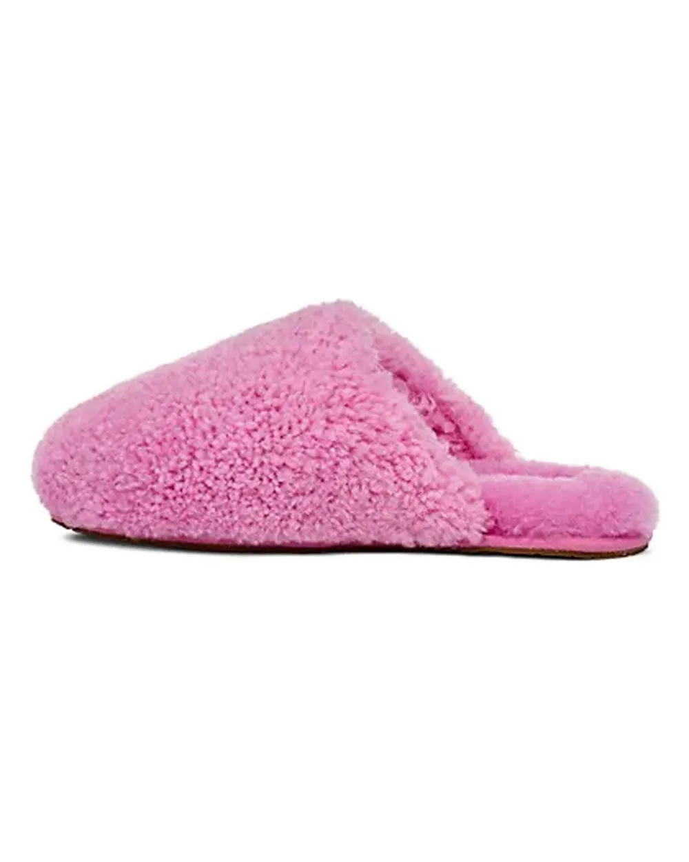 Echinacea Maxi Curly Slipper