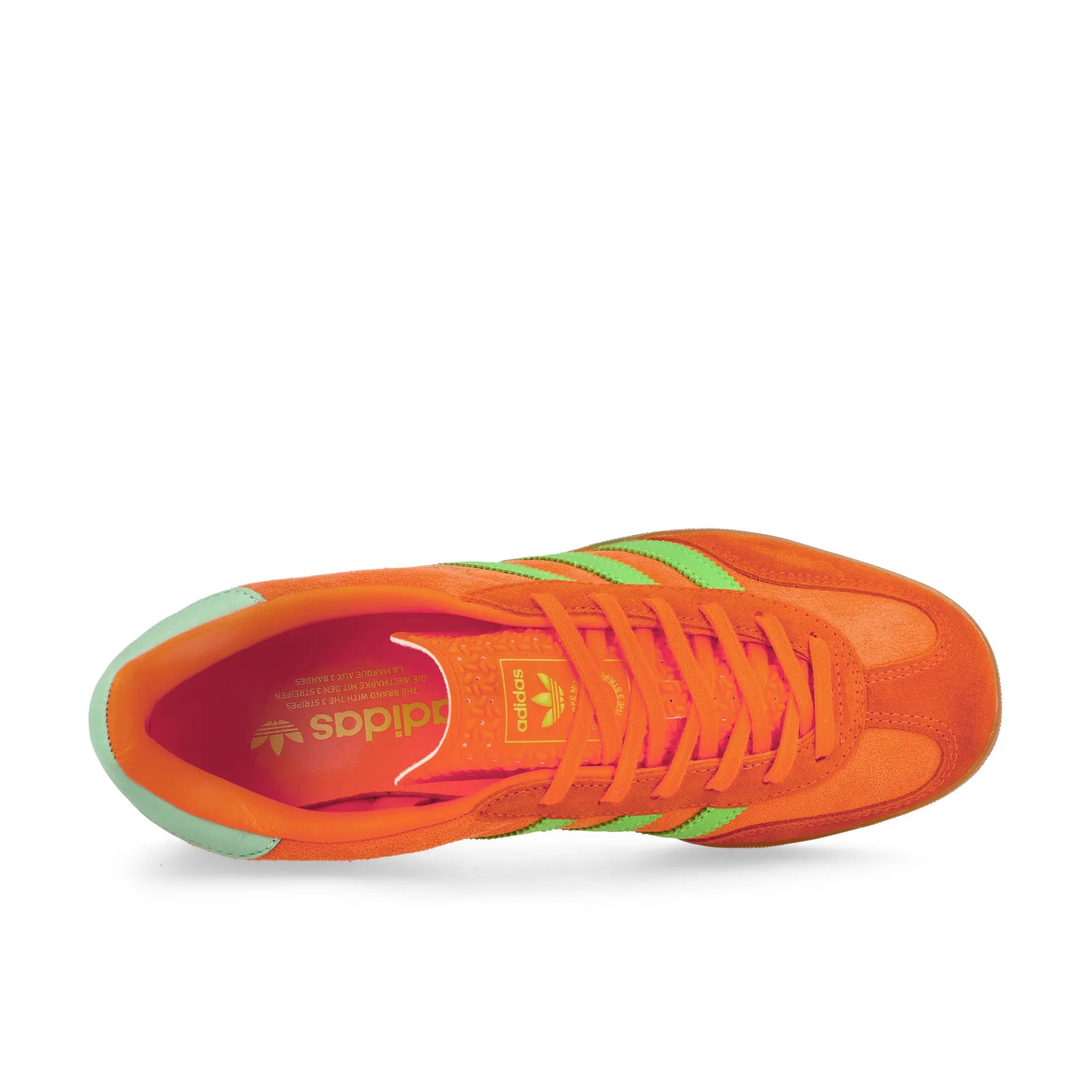 Gazelle Indoor W