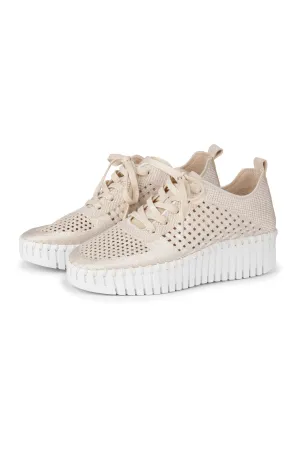 Isle Jacobsen Tulip Lace Up Shoe in Kit